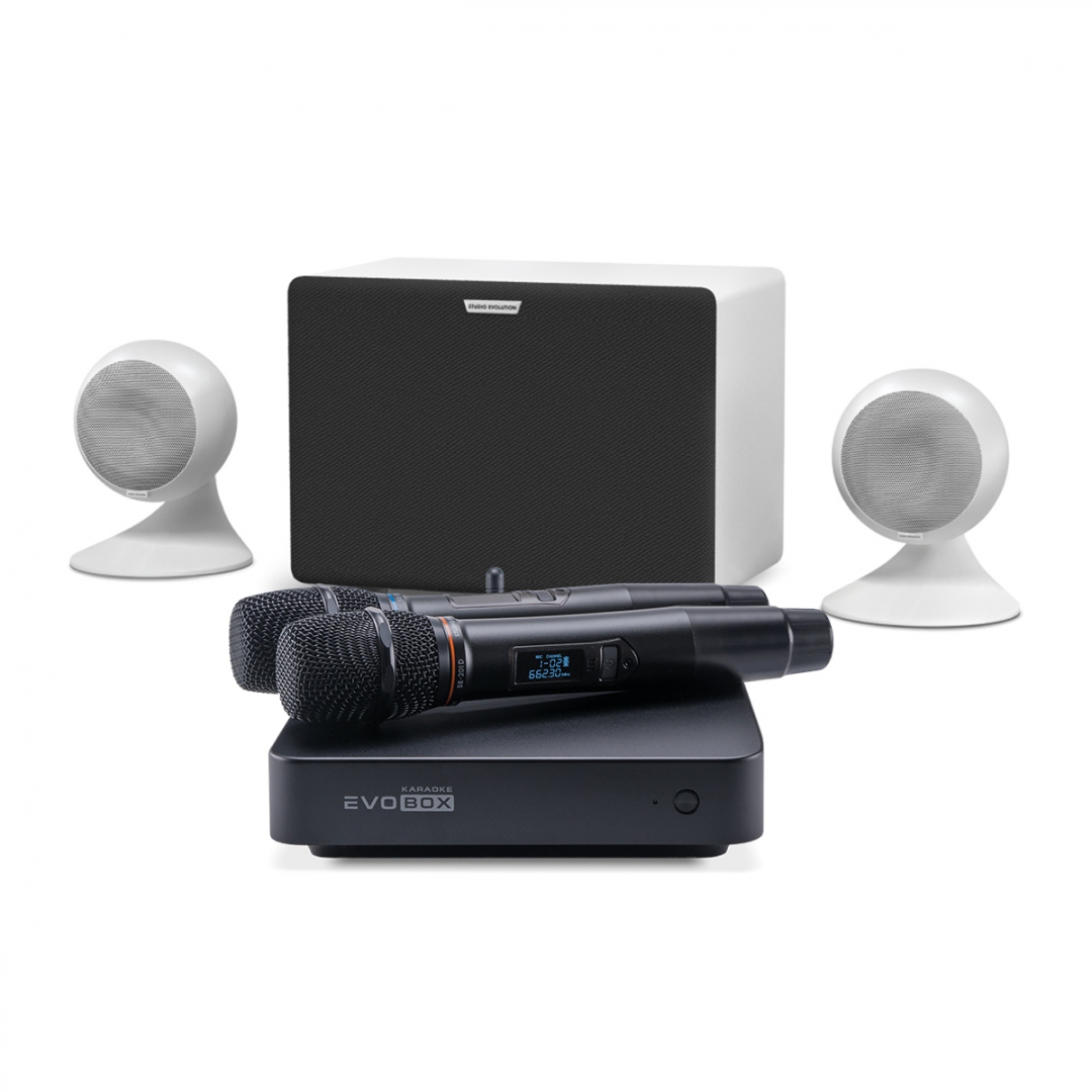 караоке-комплект EVOBOX Classic + EvoSound Sphere 2.1 в Дубне