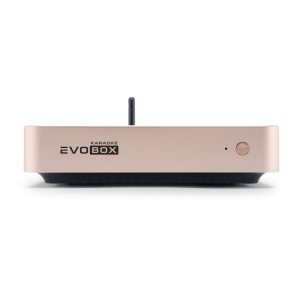 EVOBOX Classic караоке-система для дома в Дубне