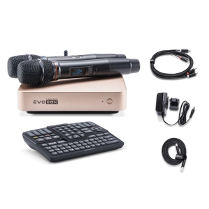 EVOBOX Classic караоке-система для дома в Дубне