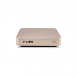EVOBOX с микрофонами в Дубне